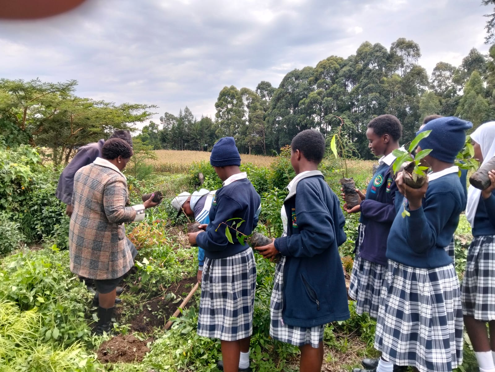 Tree Planting Day 2025