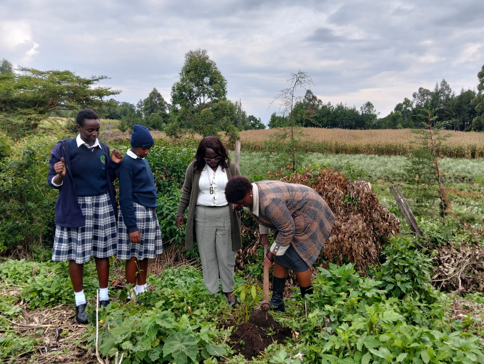 Tree planting ceremony